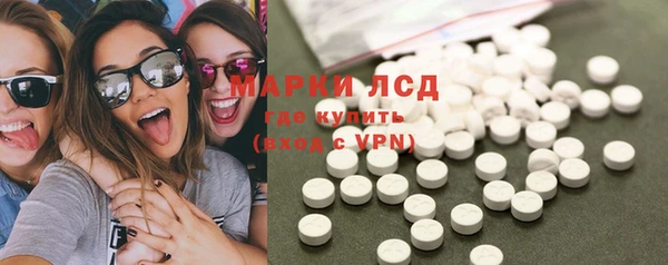 круглые Гусев