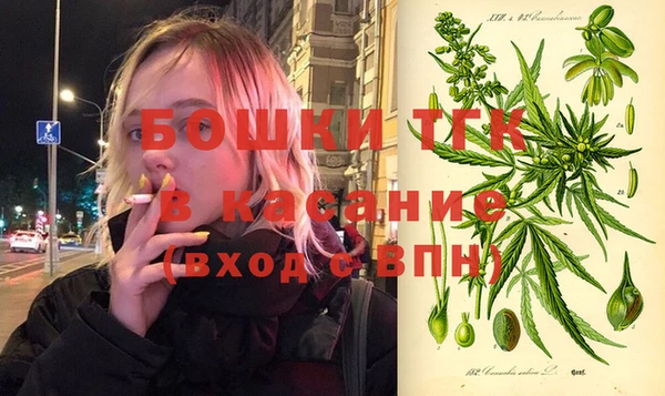 круглые Гусев