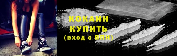 круглые Гусев