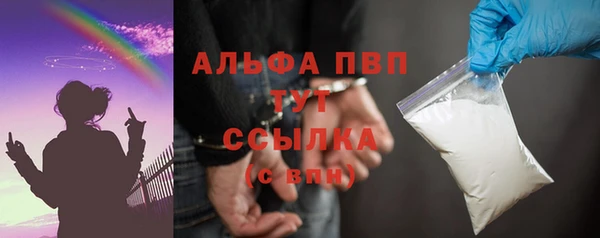 круглые Гусев