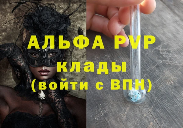 круглые Гусев
